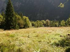 Klik za večjo sliko